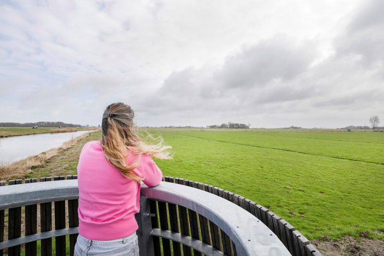 Land in zicht