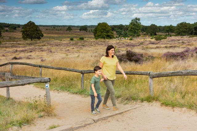 Holtingerveld bloeidende heide wandelen vrouw kind