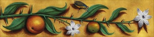 Randversiering van bloemen, fruit en een insect (detail), getijdenboek, manuscript van omstreeks 1515, koninkrijk Frankrijk.