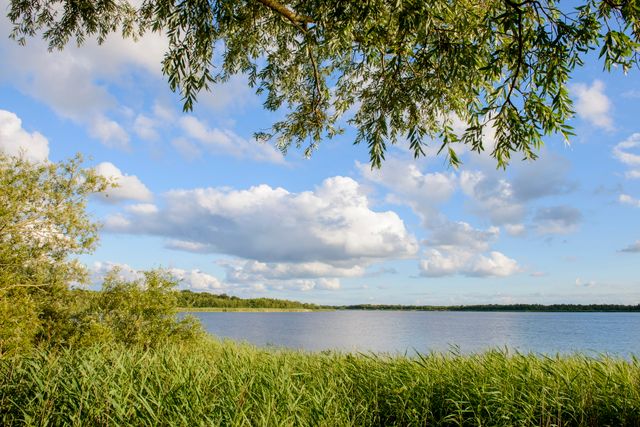 Naardermeer