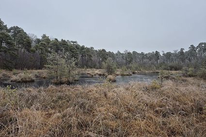 Rangerwandeling op de Bocholtsebaan