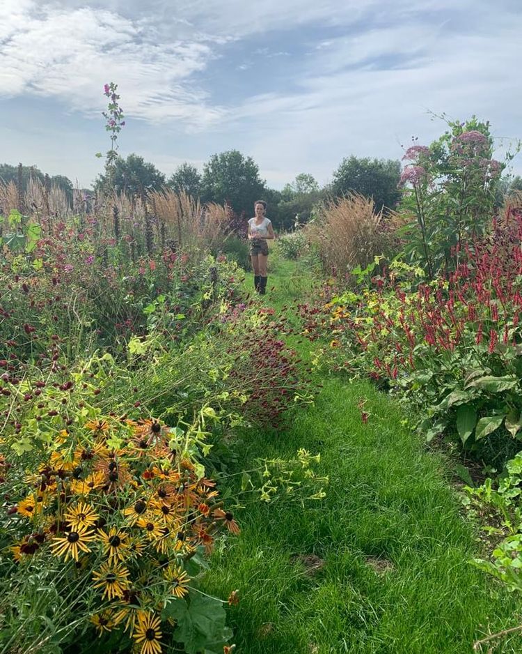 De tuin bij Pluktuin Mooy