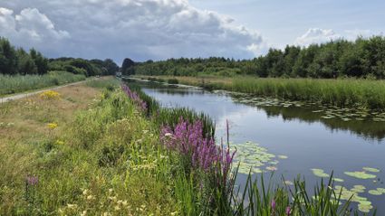 Doortraproute Heerenveen - Bontebok