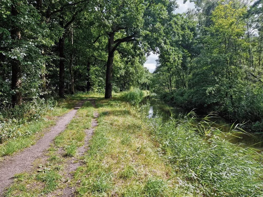 De Beerze