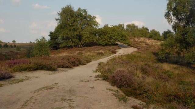 Landgoed de Hamert