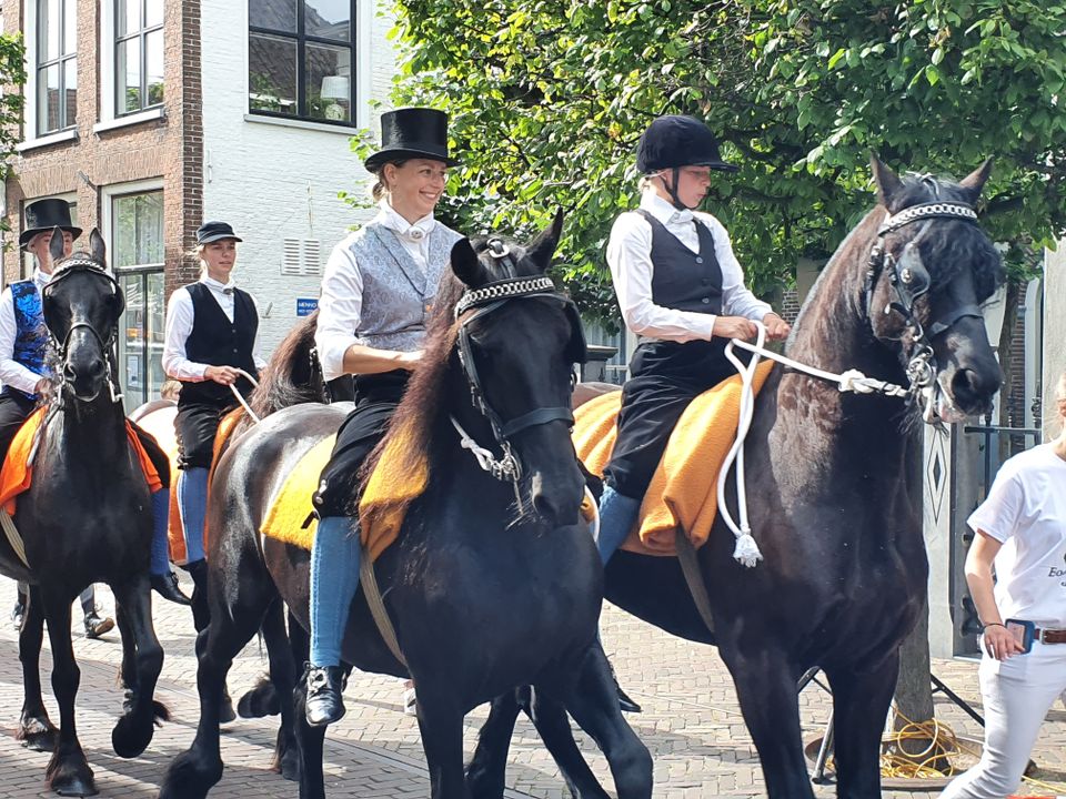 Optocht van de dameszadelclub op Friese paarden tijdens de Boerenbruilloft