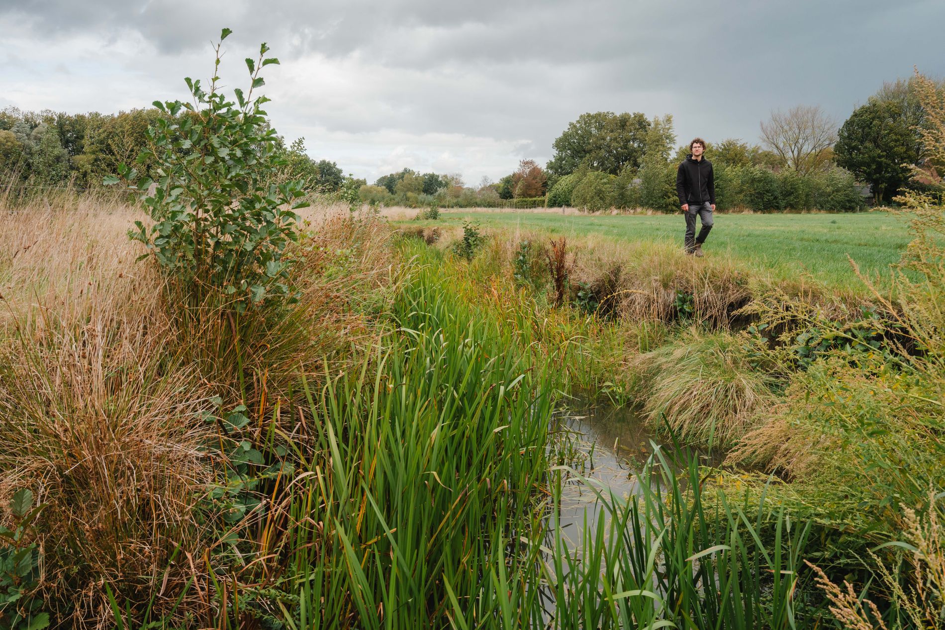 Wandelen langs de meanderende Kleine Beerze