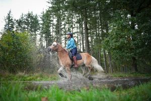 Een ruiter rent met haar paard door de plassen in het bos.