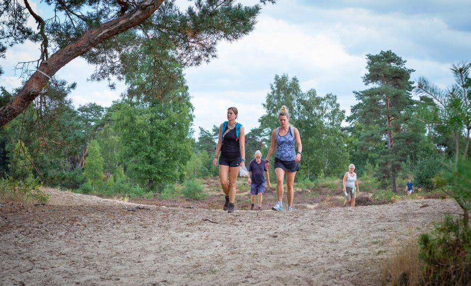 wandelaars bij duinen en bos