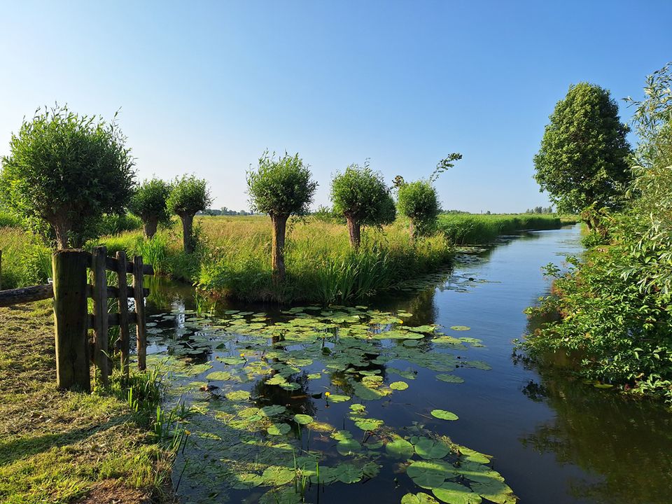 Uitzicht over Zouweboezem en weidelandschap