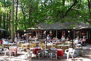 Terras van de Boscafé de Rode Lelie in Oisterwijk.