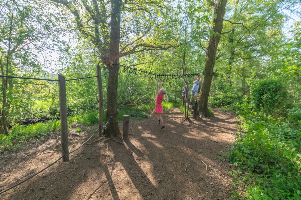 Kinderen balanceren over een houten balk en hangen aan een speeltoestel in het bos.
