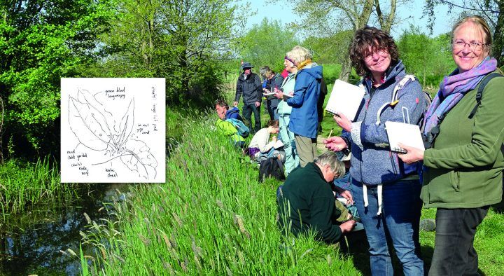 Natuurschetsen workshop