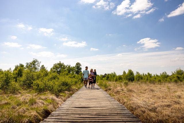 Gezin met twee kinderen lopen op Vlonderpad in de Nationaal Park de Groote Peel