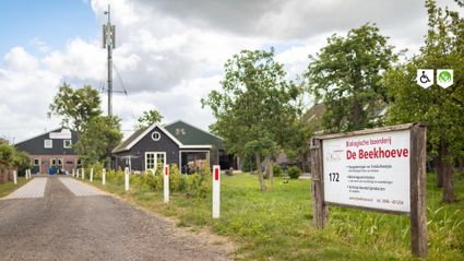 Toegang tot biologische boerderij De Beekhoeve met erf, boerderijgebouwen en groen landschap in het Groene Hart, locatie voor vergaderen, workshops en streekproducten.