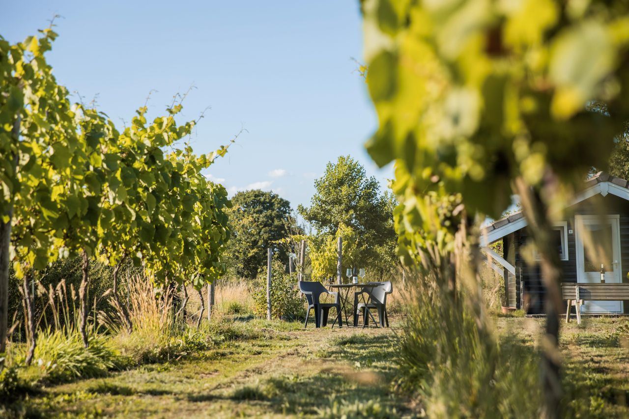 wijngaard De kleine Westrik
