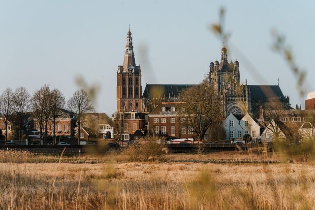 Sint Jan in Den Bosch vanuit natuurgebied.