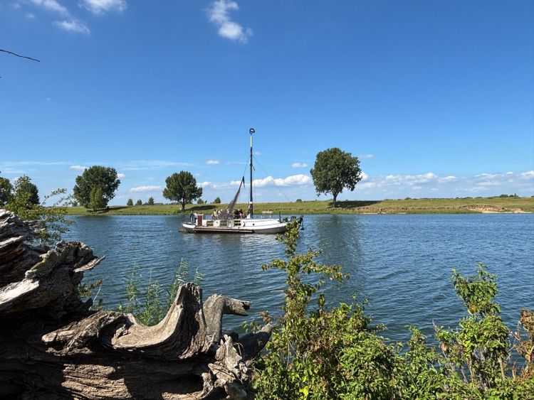 Lithse Schokker 't Visje op de Maas