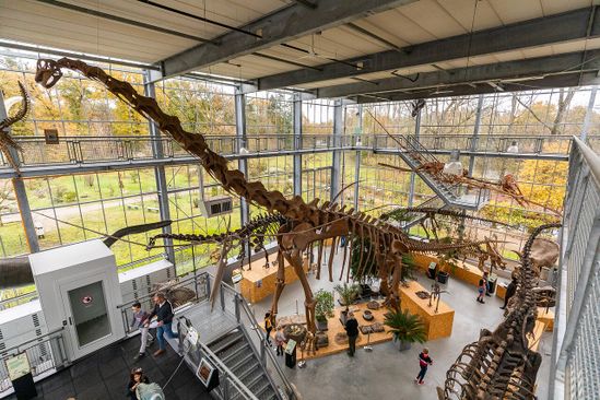 Boxtel Museum of Prehistory | VisitBrabant