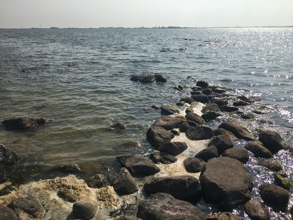 Schatkist van de Zuiderzee