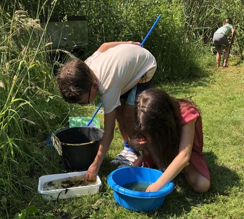 kinderen onderzoeken een bak met slootwater