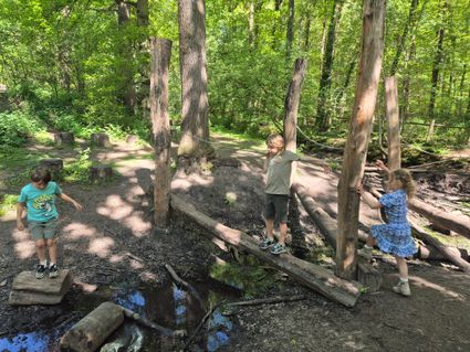 Jongen en meisje spelen op boomstammen midden in het Oisterwijkse bos