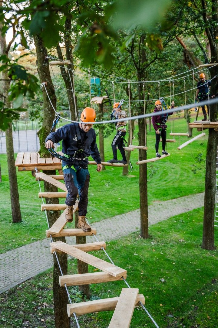 Man loopt op ladder tussen twee bomen, klimbos