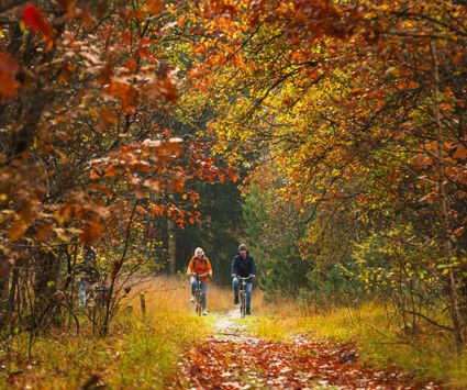 Fietsen door de Deurnese bossen - gedichtenroute 2