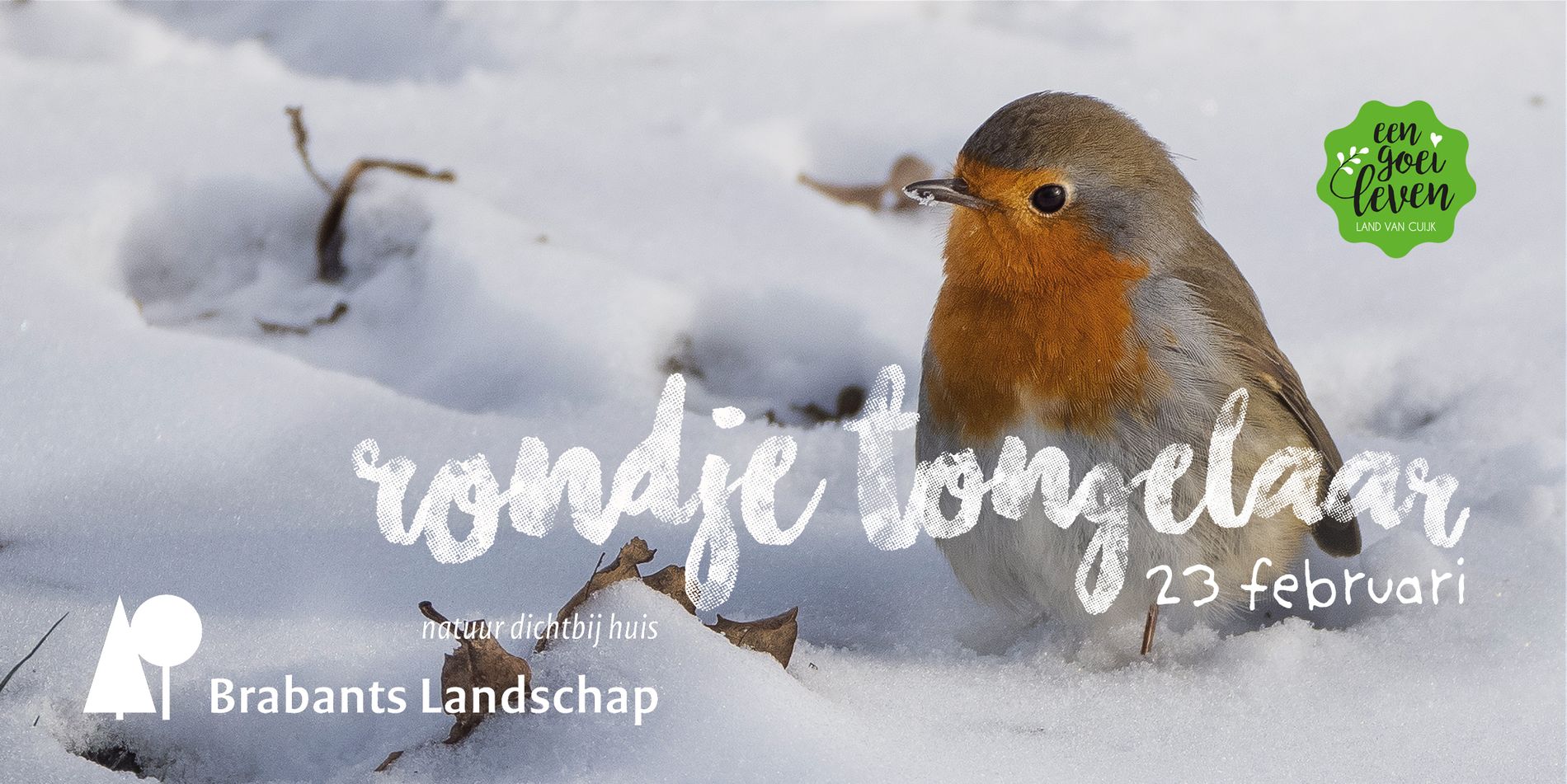 Zangvogels op Tongelaar