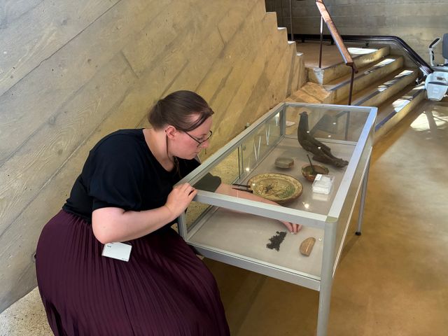 Het plaatsen van de vondsten in de vitrine