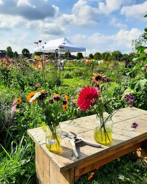 Samen met de buurt wordt het park Kasteeltuin Nijevelt ontwikkeld, een heerlijke plek om te ontmoeten, te tuinieren en te spelen. Kasteeltuin Nijevelt zorgt voor verbinding tussen wijkbewoners die elkaar tot voor kort nog niet kenden.