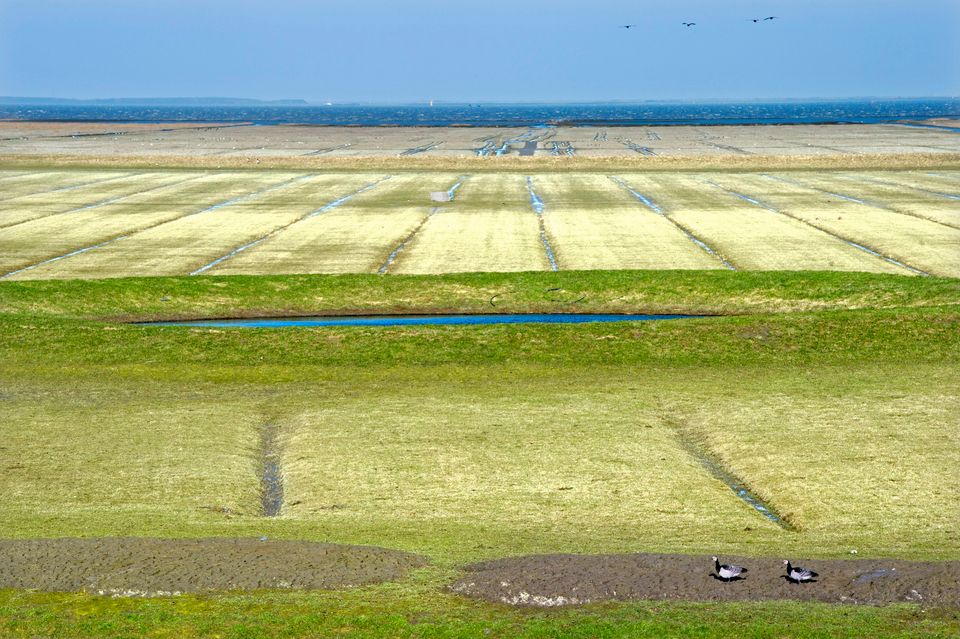 2.7 Intro Noorderleech