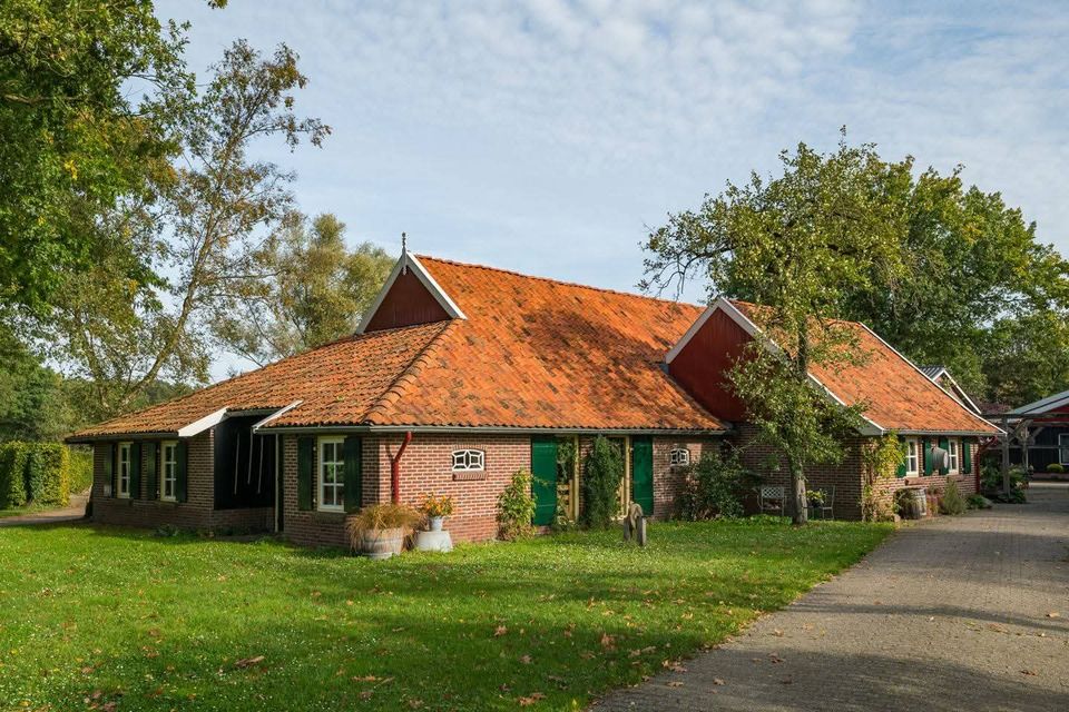 Open Dag | Eénjarig bestaan Stupacentrum