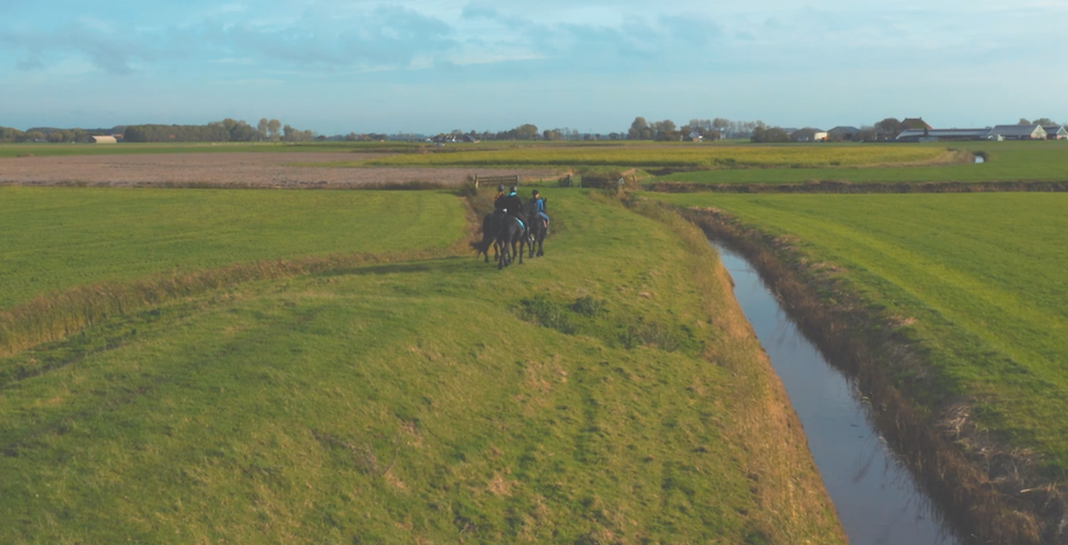 een groep meiden die aan het paardrijden is in Pingjum.