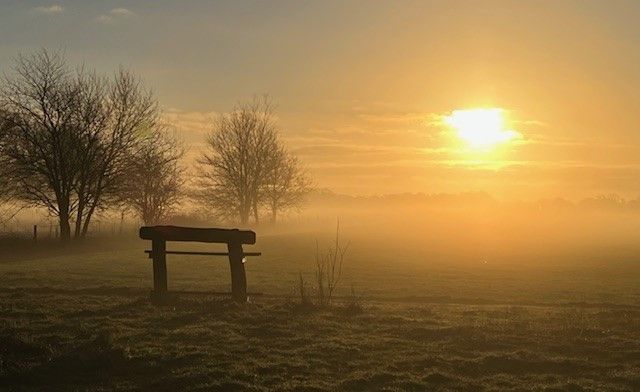 Ochtendwandeling Dwingelderveld