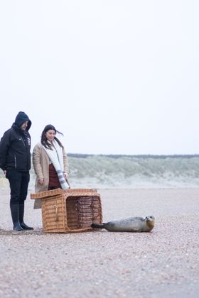 Zeehond vrijlaten met A Seal op Goeree-Overflakkee