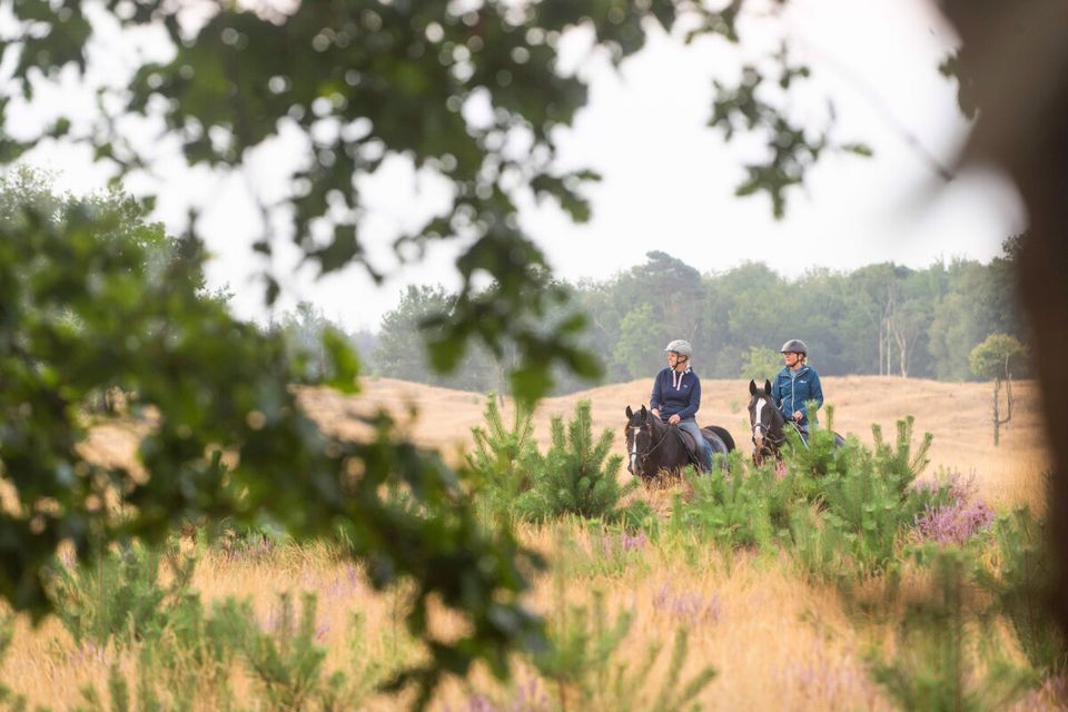 Ruiters Drents-Friese Wold