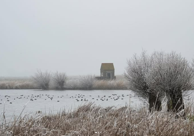 It Greidefûgelparadys Sânfurd in de winter