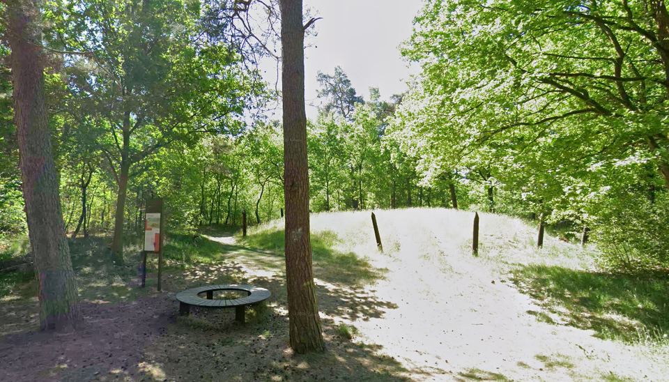 Grafheuvels Boskerkhof Haarterheide