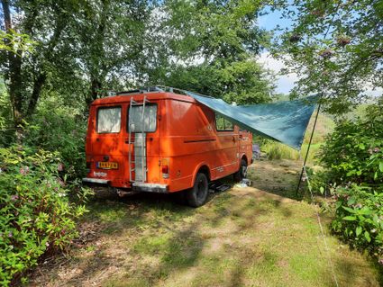 Camperplekje in het groen