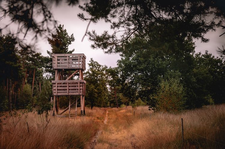 Uitkijktoren bij Landgoed de Stippelberg