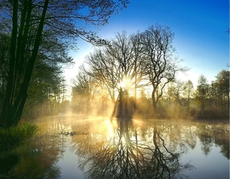 Wandelen langs het Mussenkeetpad bij Natuurpoort de Peel