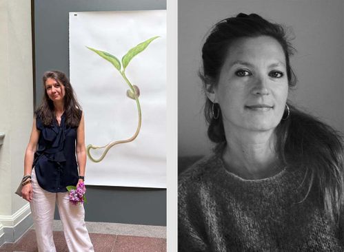 Artist Talk - Vloeiende Vormen: Nataliya Vladychko & Anna Gray