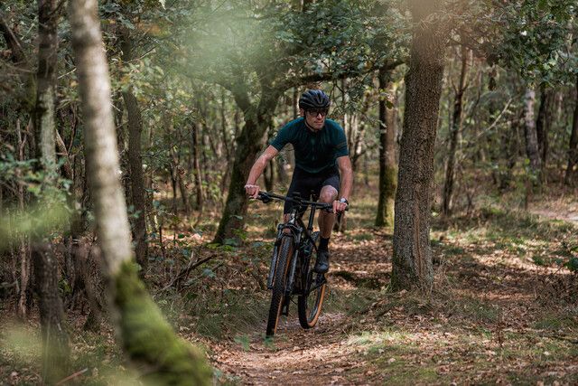 1 mountainbiker op de mountainbike route Zeeland in De Maashorst