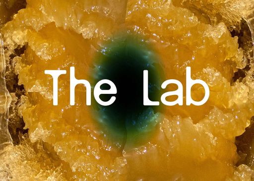 Annemijn Rijk: The Lab
