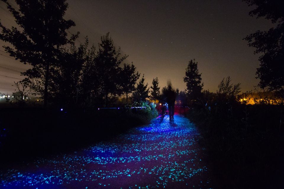 Eindhoven - Van Gogh Roosegaarde fietspad