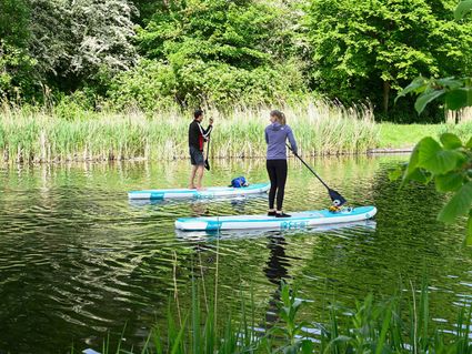 Suppen in het water bij Delft