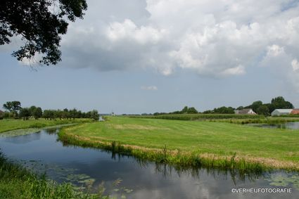 Een uitzicht over een weiland tijdens Boerenlandroute - Hondsdijkroute