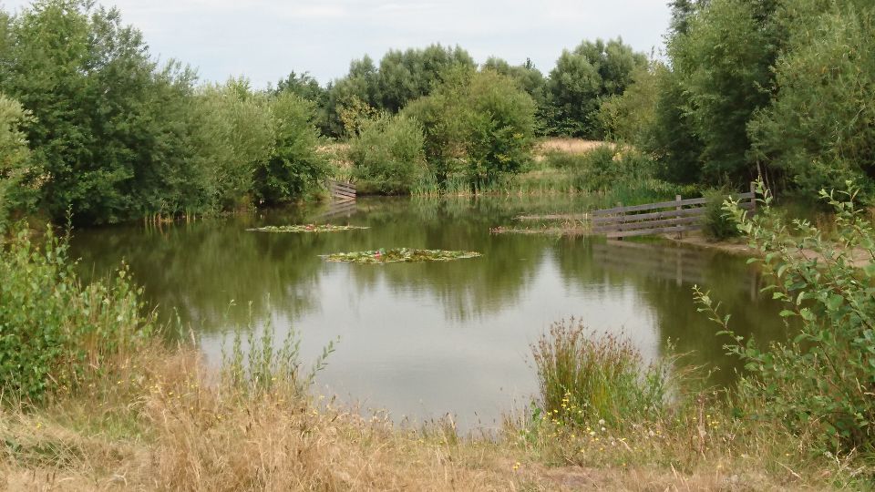 De Runde voert je door het karakteristieke landschap van Zuidoost-Drenthe richting de Ruiten Aa. Onderweg ontdek je water, groen en weidse vergezichten. Een prachtige omgeving om te wandelen of fietsen.