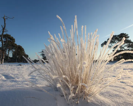 Winterverrassingstocht